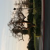 TheOnlooker > Wilderness Park photo