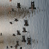 TheOnlooker > Wilderness Park photo